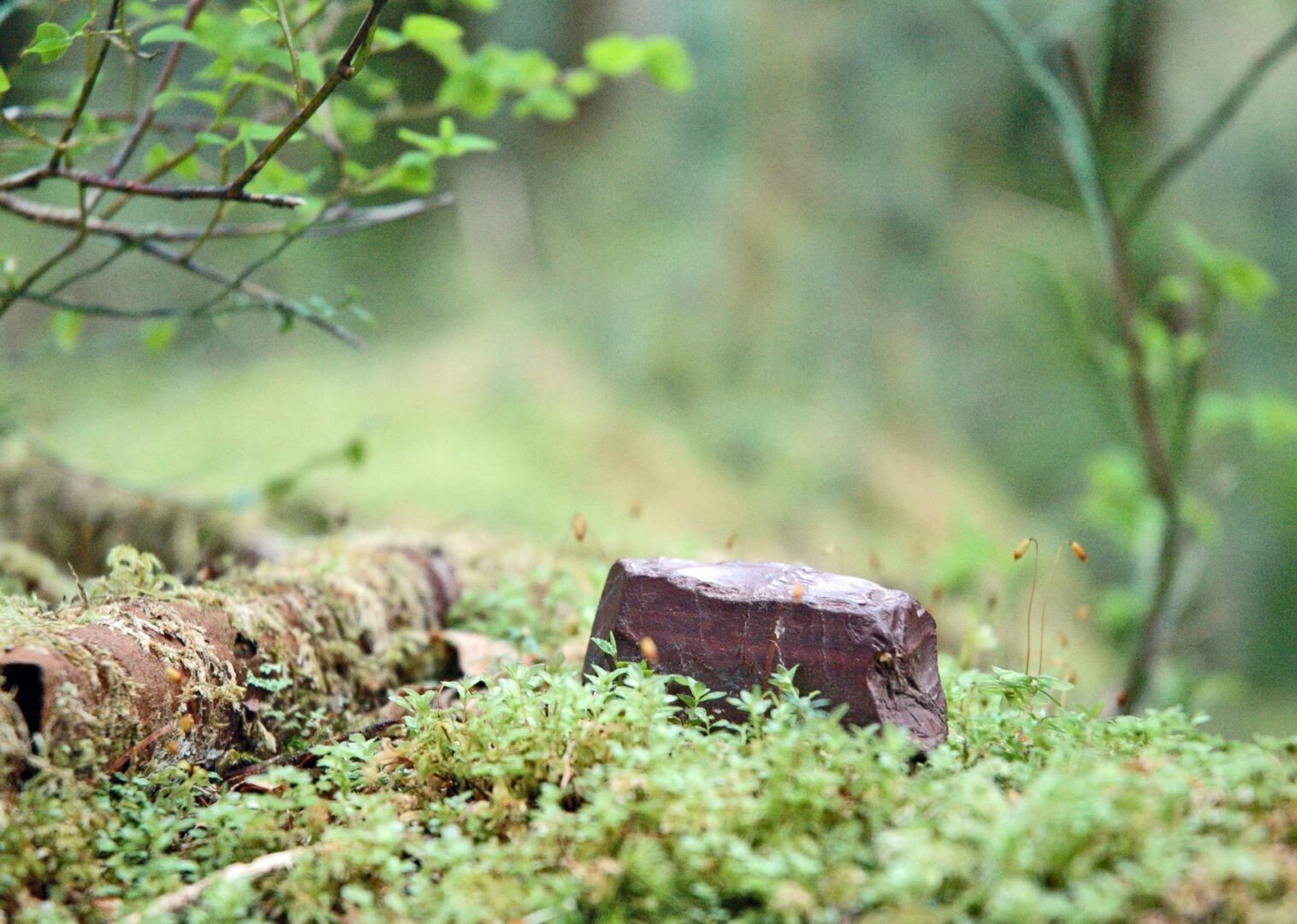 Osi stone